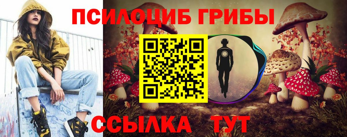 Галлюциногенные грибы GOLDEN TEACHER  Галлюциногенные грибы Cubensis  Вход с VPN  Кудрово 